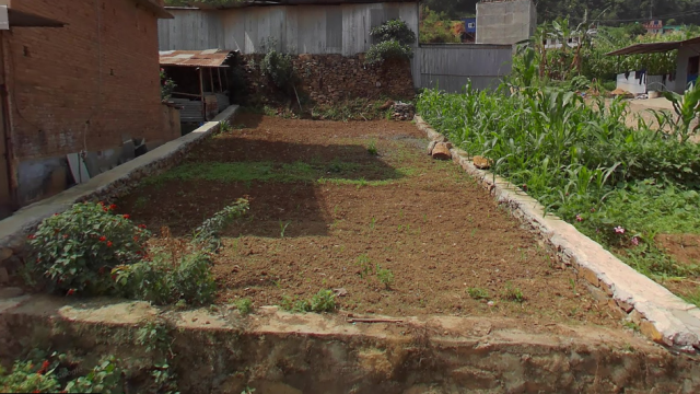 Screenshot 2025-12-12 101124